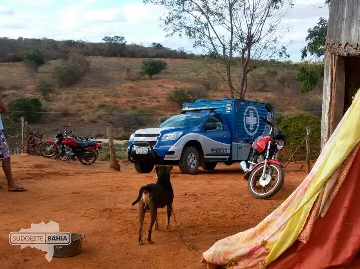 Homem morre após ataque de abelhas na zona rural de Bom Jesus da Lapa